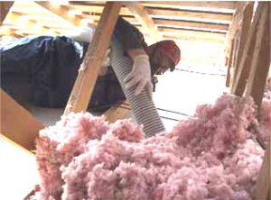 Insulation Removal